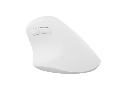 Mysz bezprzewodowa wertykalna Crake 2 BT 5.2 + 2.4GHz biała Mysz bezprzewodowa wertykalna Crake 2 BT 5.2 + 2.4GHz biała
