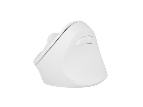 Mysz bezprzewodowa wertykalna Crake 2 BT 5.2 + 2.4GHz biała Mysz bezprzewodowa wertykalna Crake 2 BT 5.2 + 2.4GHz biała