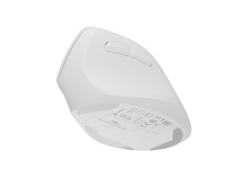 Mysz bezprzewodowa wertykalna Crake 2 BT 5.2 + 2.4GHz biała Mysz bezprzewodowa wertykalna Crake 2 BT 5.2 + 2.4GHz biała