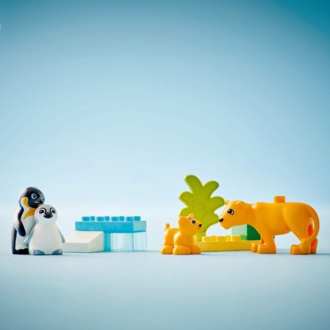 Klocki DUPLO 10442 Rodziny dzikich zwierząt: pingwiny i lwy Klocki DUPLO 10442 Rodziny dzikich zwierząt: pingwiny i lwy