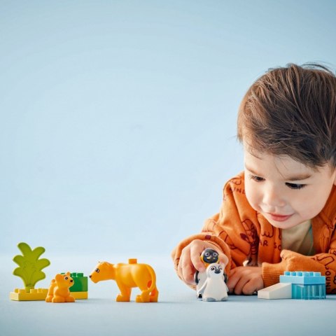Klocki DUPLO 10442 Rodziny dzikich zwierząt: pingwiny i lwy Klocki DUPLO 10442 Rodziny dzikich zwierząt: pingwiny i lwy