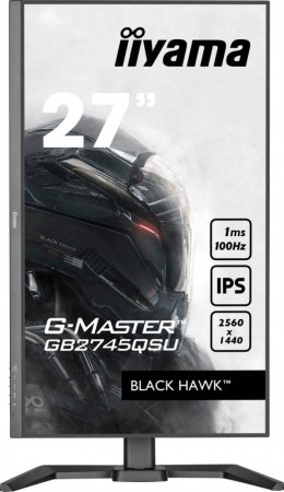 Monitor 27 cali GB2745QSU-B2,IPS,QHD,100Hz,1ms,2xUSB,300cd