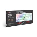 Klawiatura mechaniczna bezprzewodowa SAVIO PHENIX WHITE Gateron Yellow, Pudding