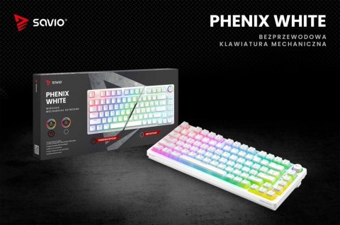 Klawiatura mechaniczna bezprzewodowa SAVIO PHENIX WHITE Gateron Yellow, Pudding Klawiatura mechaniczna bezprzewodowa SAVIO PHENIX WHITE Gateron Yellow, Pudding
