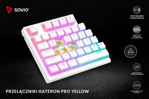 Klawiatura mechaniczna bezprzewodowa SAVIO PHENIX WHITE Gateron Yellow, Pudding Klawiatura mechaniczna bezprzewodowa SAVIO PHENIX WHITE Gateron Yellow, Pudding