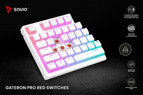 Klawiatura mechaniczna bezprzewodowa SAVIO PHENIX WHITE Gateron Yellow, Pudding Klawiatura mechaniczna bezprzewodowa SAVIO PHENIX WHITE Gateron Yellow, Pudding